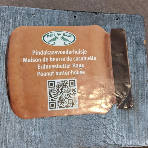 Bird House Wood Peanut Butter Jar bird House new ready to hang - Picture 2 of 5